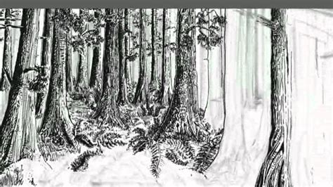 How To Draw Ink A Natural Landscape Time Lapse Youtube