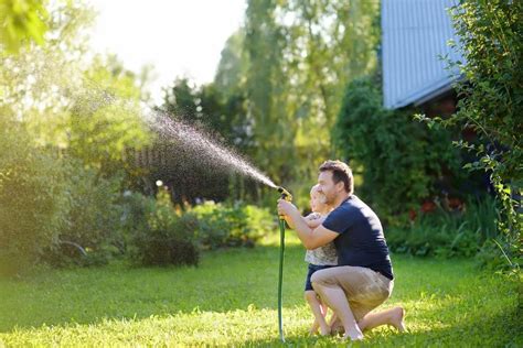 Lawn Care Tips How To Get Your Lawn In Shape For Spring