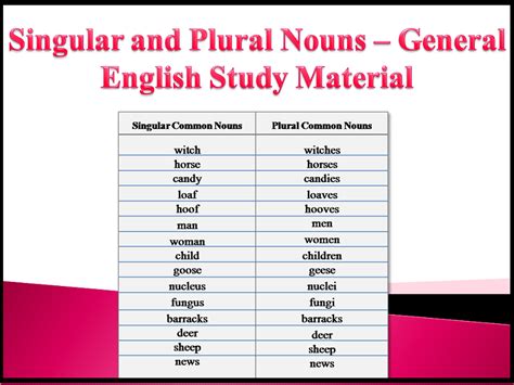 So our english, i think, you all will agree, is the craziest language you ever did see. Singular and Plural Nouns - General English Study Material