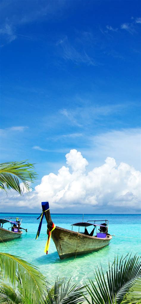 棕榈树，船，海，热带，蓝天，白云 1242x2688 iphone 11 pro xs max 壁纸，图片，背景，照片