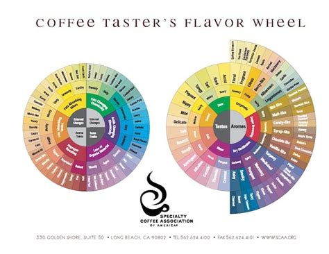 Updated Flavor Wheel From Counter Culture Coffee
