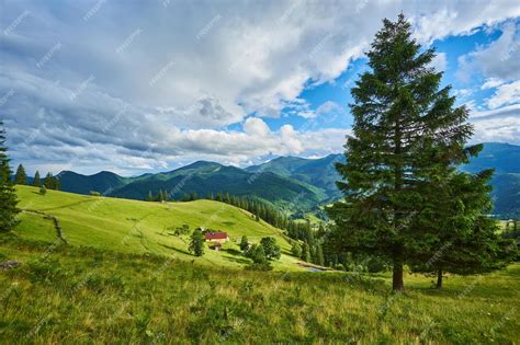 Free Photo Idyllic Landscape In The Alps With Fresh Green Meadows And