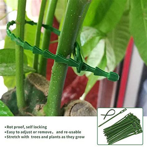Plant Support Clip Ties For Gardening Gentle Plant Flower Clamps