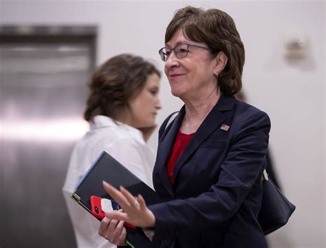 Sen Collins To Oppose Trump Judicial Nominee Over Record Opposing Gay