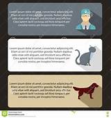 Pet Care Vet Clinic Images