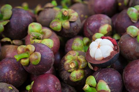 Try 'em out in these quick and easy smoothie recipes. 15 Unique and Rare Indian Fruits You Need to Try Right Now