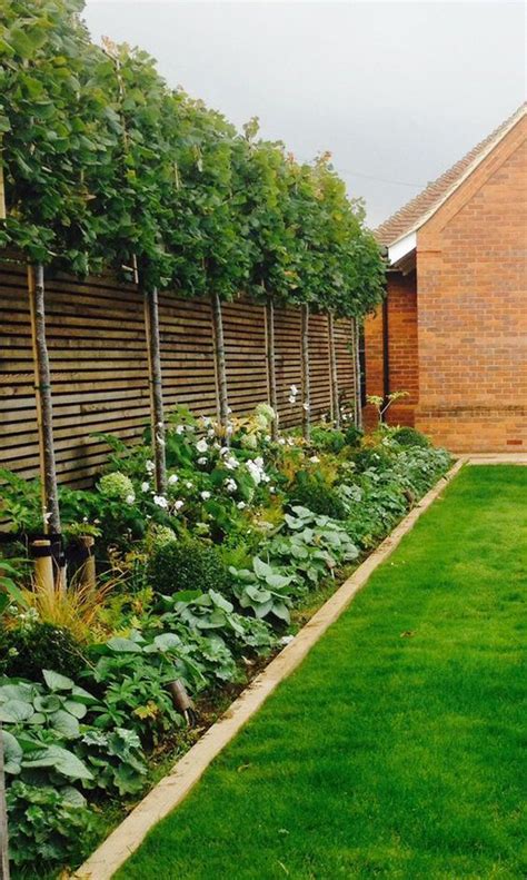 Discover 25 Great Garden Fence Ideas That Are Worth Your Attention