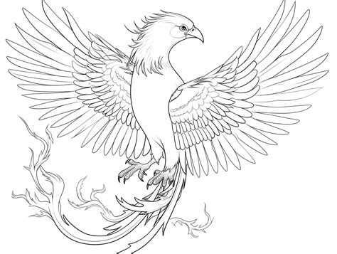 Mystical Firebird Coloring Page Coloring Page