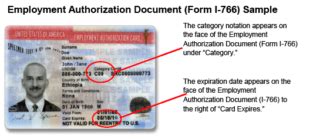 My wife lost her ead card yesterday along with her purse and wallet. us employment authorization card category c09p - Gemescool.org