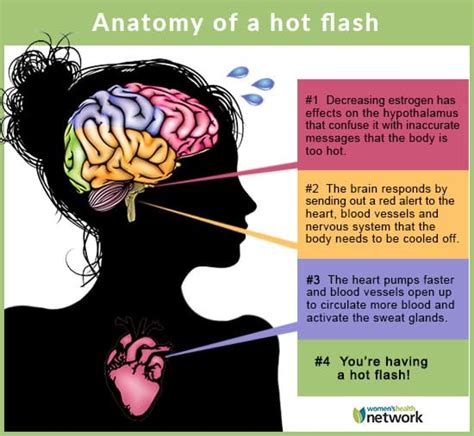 relief for hot flashes and night sweats women s health network