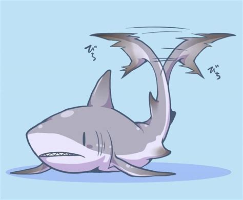 Shark Art Shark Drawing Cute Shark