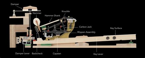 See full list on edelweisspianos.com How Does a Piano Action Work?
