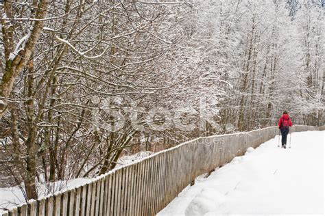 Walking On A Snowy Footpath Stock Photo Royalty Free Freeimages