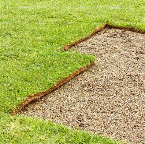 Turf is a daily practice. Our Products - Turf For Sale - Regal Turf - Eurogreen ...