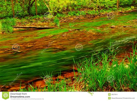Forest River Stock Photo Image Of Clear Lush Natural 2627814