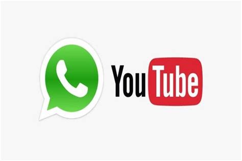100% safe and virus free. WhatsApp may soon let you play YouTube videos in the app ...