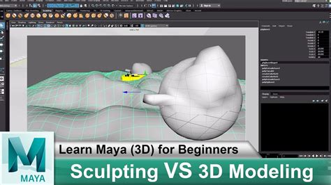 What Is Sculpting Vs 3d Modeling Learn Maya 3d Animation For