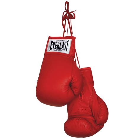 Everlast Autograph Boxing Gloves Training Sports Protection Equipment