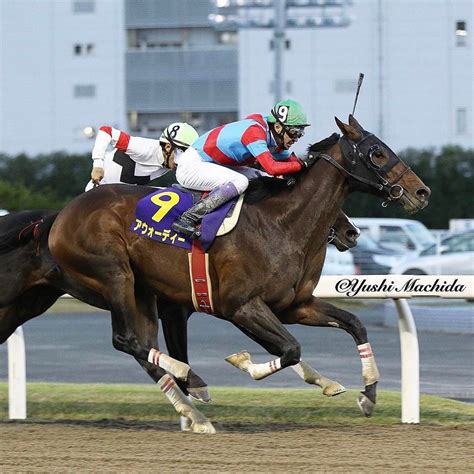 Afrikaans čeština dansk deutsch ελληνικά english español (españa) español suomi français bahasa indonesia italiano 日本語 한국어 bahasa melayu norsk nederlands polski português (brasil) português (portugal) русский svenska ภาษาไทย filipino türkçe 中文(简体) 中文(台灣) বাংলা ગુજરાતી हिन्दी. チャンピオンズカップ2017の予想オッズ・人気と日程、出走予定 ...