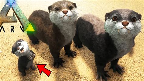 Otter Taming And Breeding Cutest Kids In Ark Ark Survival Evolved