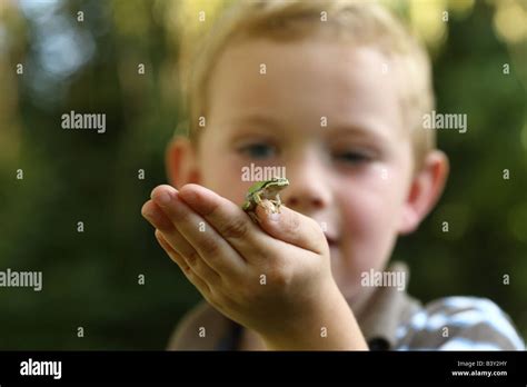 Young Boy Holding Small Tree Frog Stock Photo Alamy