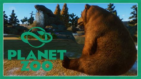 Planet Zoo Himalayan Brown Bear Exhibit Speed Build Youtube