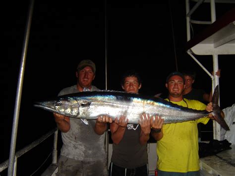 Giant wahoo caught on a Ft. Lauderdale swordfishing trip ...