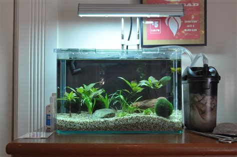 2.5 gallon nano planted tank | Nice rounded front-corner gla… | Flickr