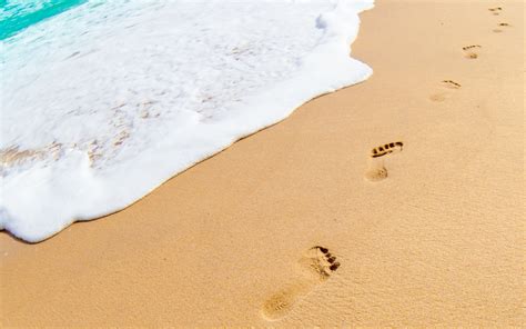 Footprints In The Sand On The Beach Background