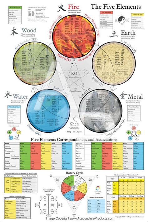 Five Elements Of Acupuncture Poster 24 X 36 Etsy Traditional Chinese Medicine Charts