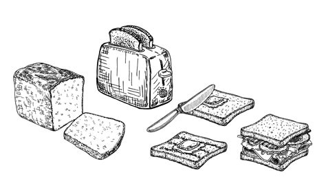 Premium Vector Electric Toaster With A Slices Of Toasted Bread
