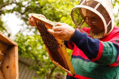Premium Photo Beekeeper Working Collect Honey Beekeeping Concept