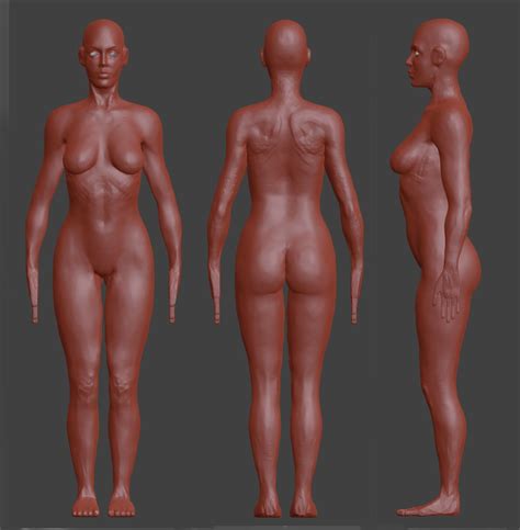 Female Model Project WIP Contains Nudity Works In Progress