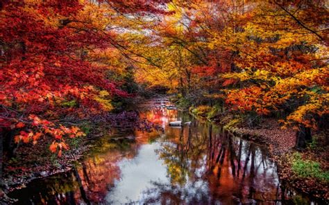 Nature River Leaves Colorful Trees Fall Water Reflection
