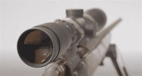 The Best 22lr Scopes For Target Shooting In 2023 Scopes Field