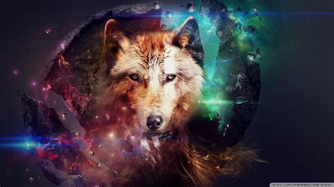 We have a massive amount of desktop and mobile backgrounds. Magic Wolf Ultra HD Desktop Background Wallpaper for 4K ...