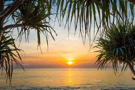 Sunset At Tropical Beach With Palms Containing Sunset Palm And Beach