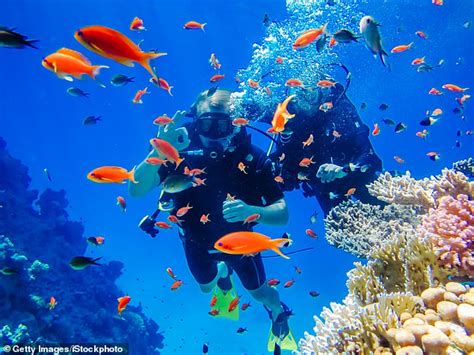 Sharm El Sheikh Offers Superb Diving And With Direct Flights From