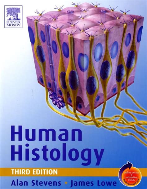 Human Histology 3rd Edition Ebook In 2021 Ebook Anatomy And