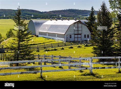 Millarville Canada Hi Res Stock Photography And Images Alamy
