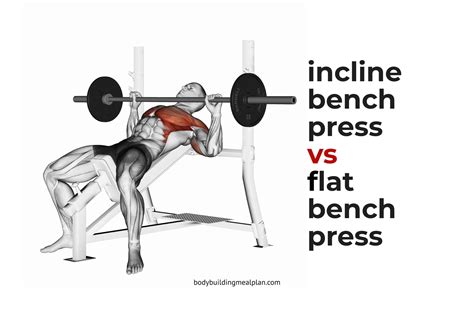 Incline Bench Press Vs Flat Bench Press Bench Press Incline Bench Bicep Muscle