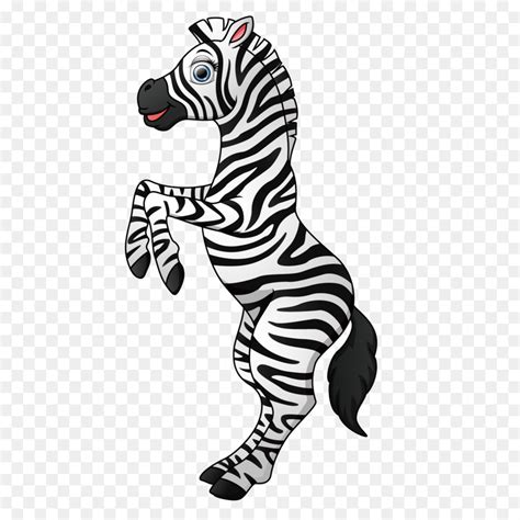 26 Download Gambar Kartun Zebra Galeri Animasi