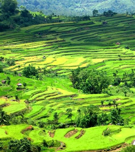22 Best Rice Terraces Of The Philippine Cordilleras Guide 2020