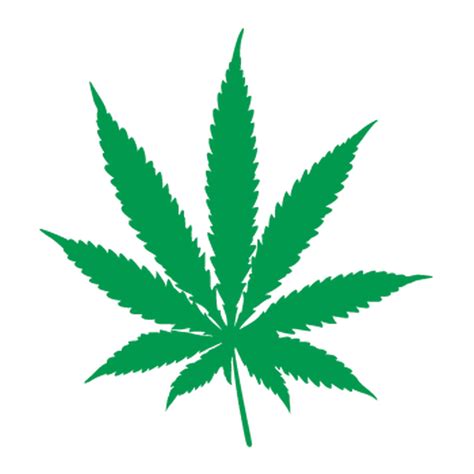 Cannabis Png Transparent Image Download Size 800x800px