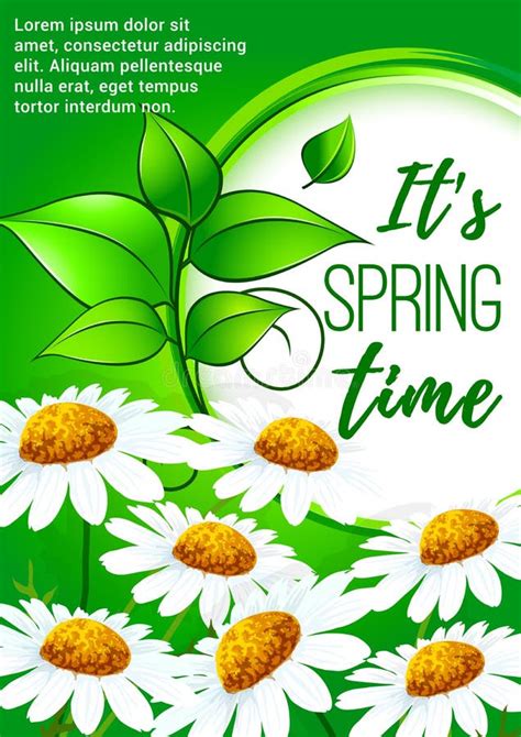 Spring Poster Design With Daisy Flowers Stock Vector Illustration Of