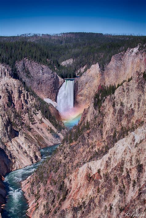 Rainbow Yellowstone Lower Falls Foto And Bild North America United