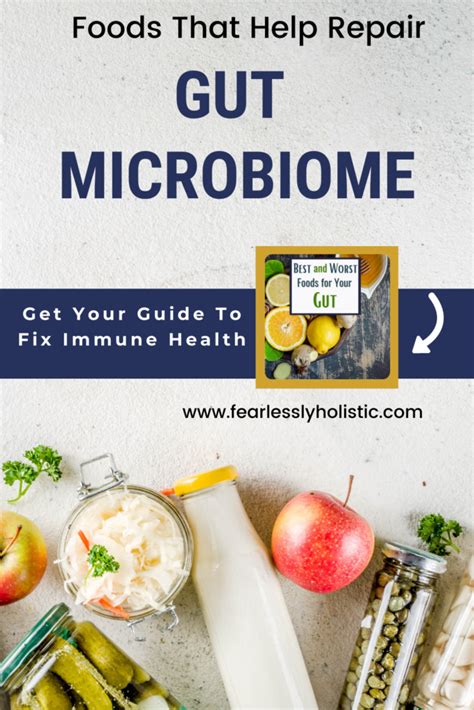 Foods That Improve Gut Microbiome Fearlessly Holistic