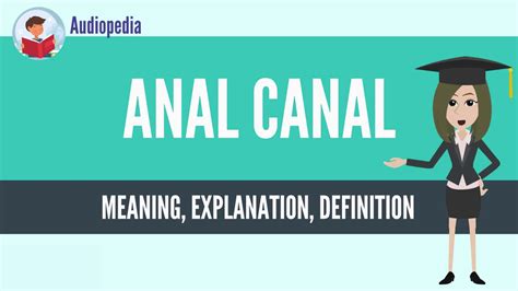 what is anal canal anal canal definition and meaning youtube