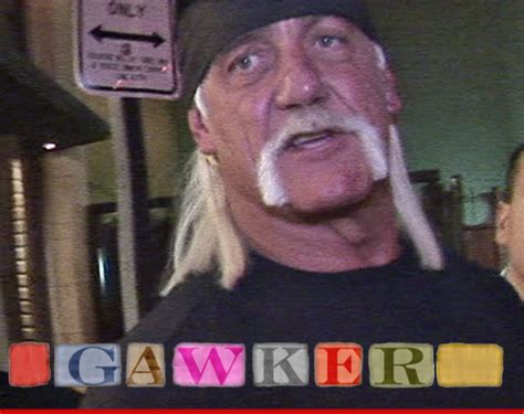 Judge To Hulk Hogan Sex Tape Stays Online For Now