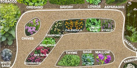 A Garden Plan With Different Plants And Flowers In It Including The